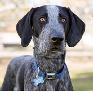 Meet your Posher, Cahl